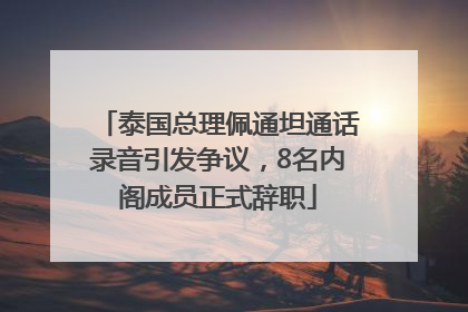 泰国总理佩通坦通话录音引发争议，8名内阁成员正式辞职