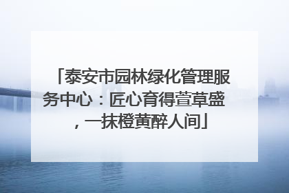泰安市园林绿化管理服务中心：匠心育得萱草盛，一抹橙黄醉人间