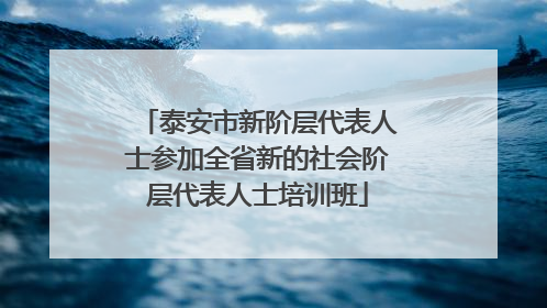 泰安市新阶层代表人士参加全省新的社会阶层代表人士培训班