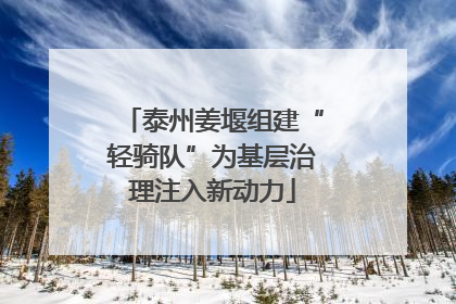 泰州姜堰组建“轻骑队”为基层治理注入新动力