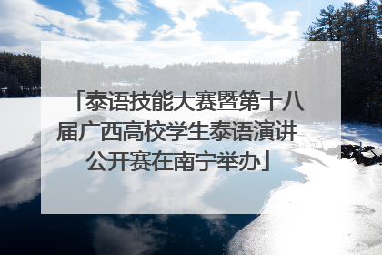 泰语技能大赛暨第十八届广西高校学生泰语演讲公开赛在南宁举办