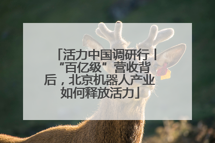 活力中国调研行丨 “百亿级”营收背后，北京机器人产业如何释放活力