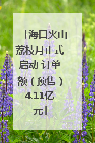 海口火山荔枝月正式启动 订单额（预售）4.11亿元