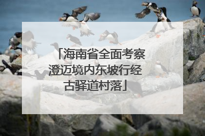 海南省全面考察澄迈境内东坡行经古驿道村落