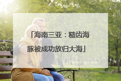 海南三亚：糙齿海豚被成功放归大海