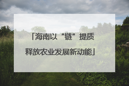 海南以“链”提质 释放农业发展新动能
