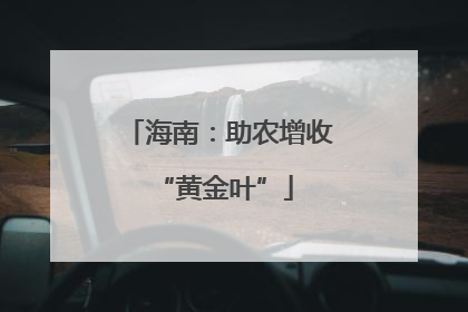 海南：助农增收 “黄金叶”