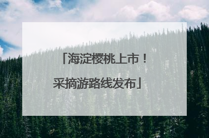 海淀樱桃上市！采摘游路线发布