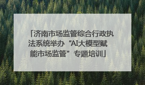 济南市场监管综合行政执法系统举办“AI大模型赋能市场监管”专题培训