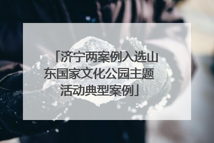 济宁两案例入选山东国家文化公园主题活动典型案例
