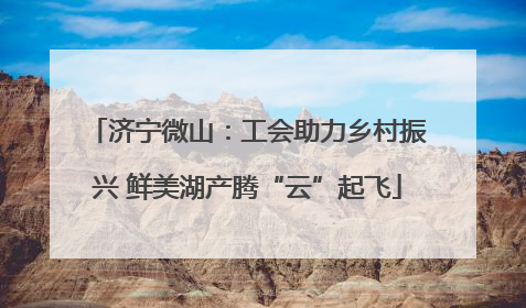 济宁微山：工会助力乡村振兴 鲜美湖产腾“云”起飞