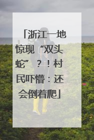 浙江一地惊现“双头蛇”？！村民吓懵：还会倒着爬