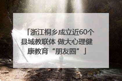 浙江桐乡成立近60个县域教联体 做大心理健康教育“朋友圈”