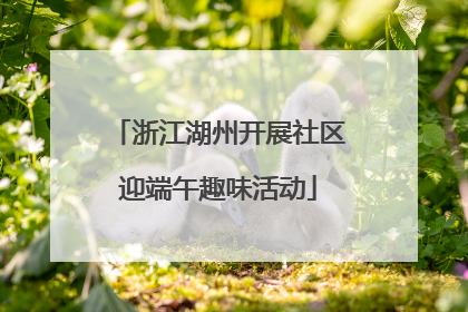 浙江湖州开展社区迎端午趣味活动