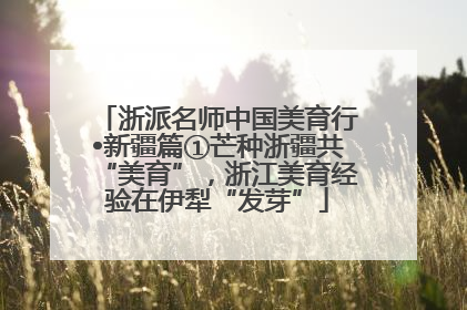 浙派名师中国美育行•新疆篇①芒种浙疆共“美育”，浙江美育经验在伊犁“发芽”