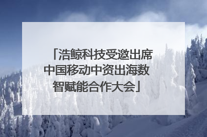 浩鲸科技受邀出席中国移动中资出海数智赋能合作大会