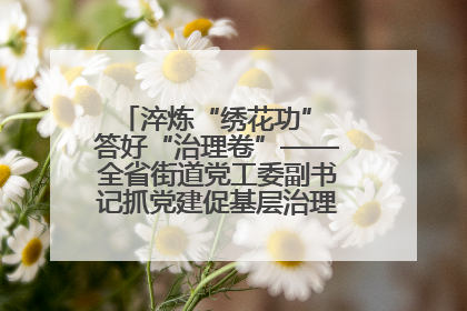 淬炼“绣花功” 答好“治理卷”——全省街道党工委副书记抓党建促基层治理培训示范班侧记