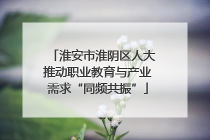 淮安市淮阴区人大推动职业教育与产业需求“同频共振”