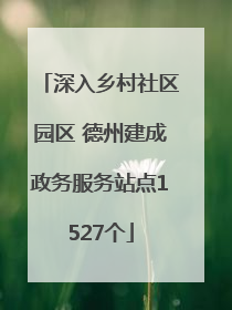 深入乡村社区园区 德州建成政务服务站点1527个