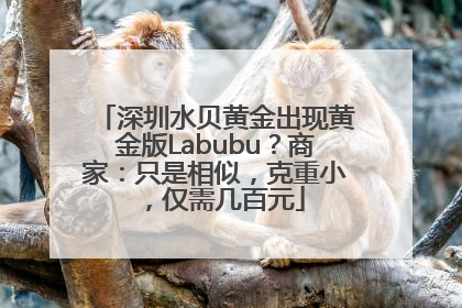 深圳水贝黄金出现黄金版Labubu？商家：只是相似，克重小，仅需几百元