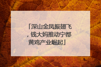 深山金凤振翅飞，钱大妈推动宁都黄鸡产业崛起