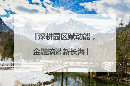深耕园区赋动能，金融滴灌新长海