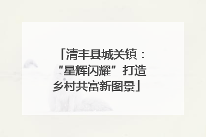 清丰县城关镇：“星辉闪耀”打造乡村共富新图景