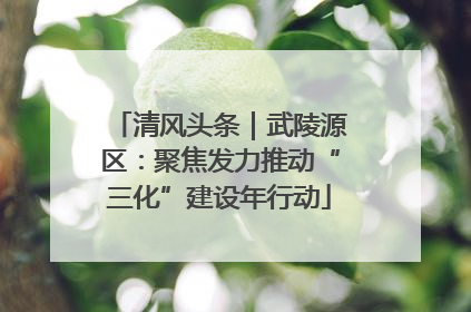 清风头条｜武陵源区：聚焦发力推动“三化”建设年行动
