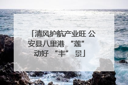 清风护航产业旺 公安县八里港 “莲” 动好 “丰” 景