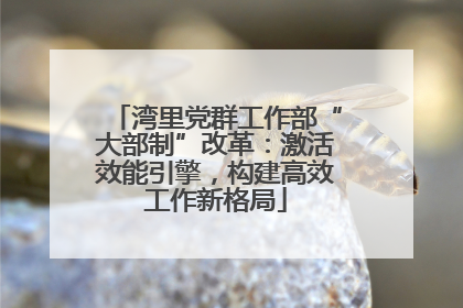 湾里党群工作部“大部制”改革：激活效能引擎，构建高效工作新格局