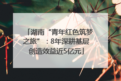 湖南“青年红色筑梦之旅”：8年深耕基层创造效益近5亿元