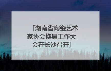 湖南省陶瓷艺术家协会换届工作大会在长沙召开