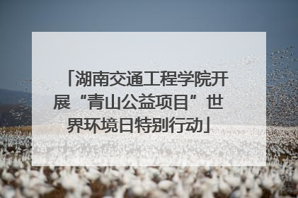 湖南交通工程学院开展“青山公益项目”世界环境日特别行动