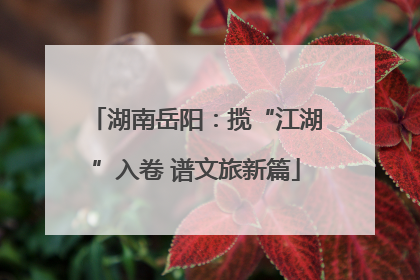 湖南岳阳：揽“江湖”入卷 谱文旅新篇
