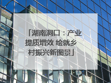 湖南洞口：产业提质增效 绘就乡村振兴新图景