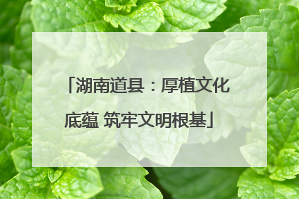 湖南道县：厚植文化底蕴 筑牢文明根基