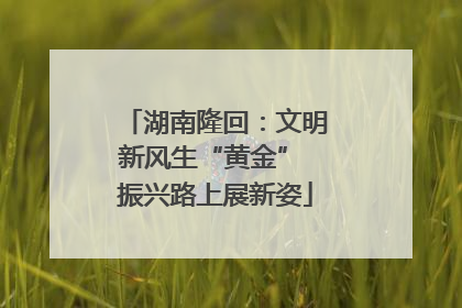 湖南隆回：文明新风生“黄金” 振兴路上展新姿