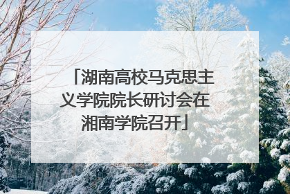 湖南高校马克思主义学院院长研讨会在湘南学院召开