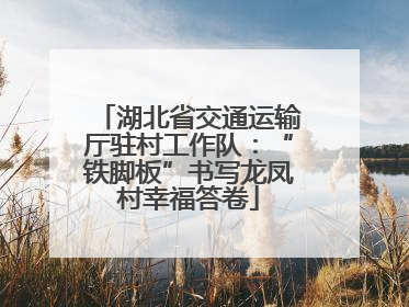 湖北省交通运输厅驻村工作队：“铁脚板”书写龙凤村幸福答卷