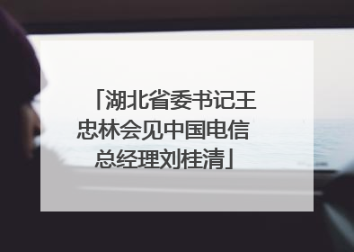 湖北省委书记王忠林会见中国电信总经理刘桂清