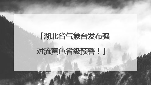 湖北省气象台发布强对流黄色省级预警！