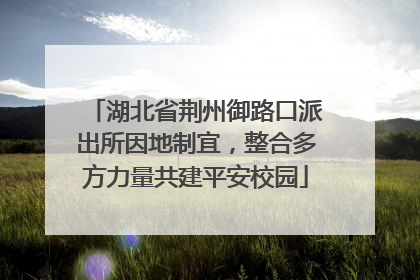 湖北省荆州御路口派出所因地制宜，整合多方力量共建平安校园