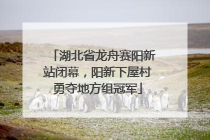 湖北省龙舟赛阳新站闭幕，阳新下屋村勇夺地方组冠军