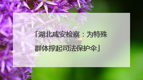 湖北咸安检察：为特殊群体撑起司法保护伞
