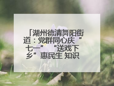 湖州德清舞阳街道：党群同心庆“七一” “送戏下乡”惠民生 知识宣传美家园