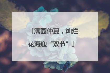 满园仲夏，灿烂花海迎“双节”