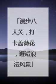 漫步八大关，打卡蔷薇花，邂逅浪漫风景