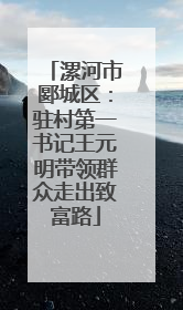 漯河市郾城区：驻村第一书记王元明带领群众走出致富路