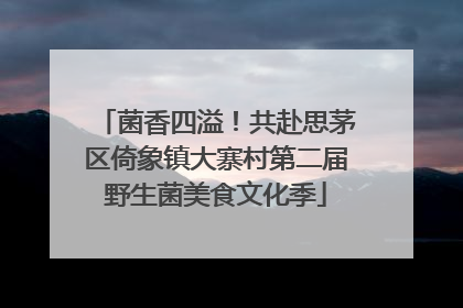 菌香四溢！共赴思茅区倚象镇大寨村第二届野生菌美食文化季