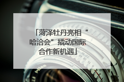 菏泽牡丹亮相“哈洽会”撬动国际合作新机遇
